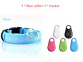 NightPaws™ LED Dog Collar for Clear Visibility Outdoors
