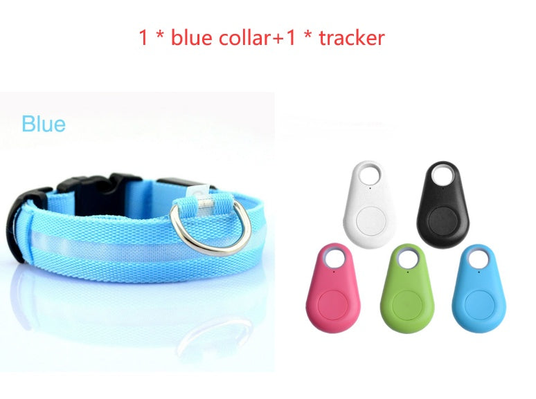 NightPaws™ LED Dog Collar for Clear Visibility Outdoors