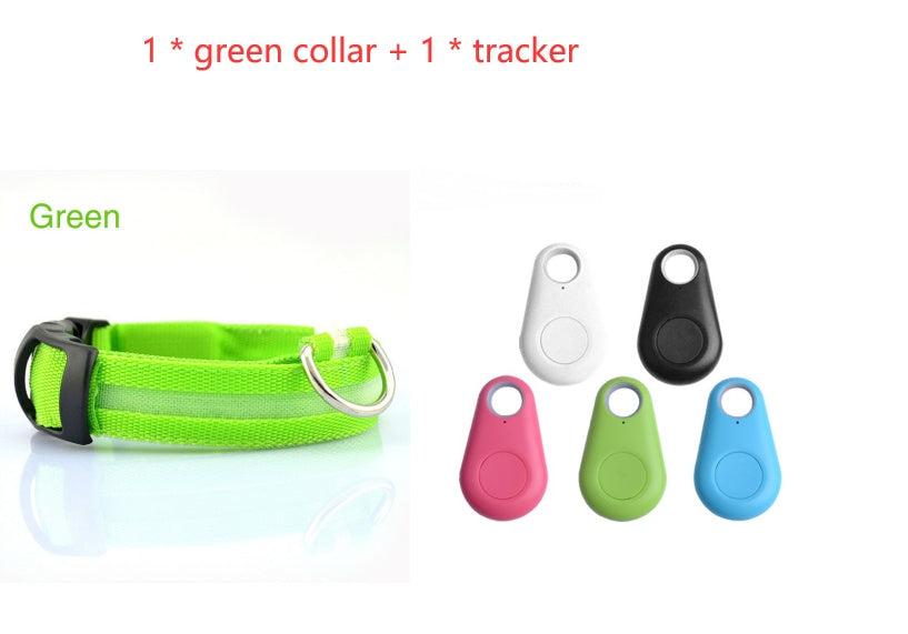 NightPaws™ LED Dog Collar for Clear Visibility Outdoors