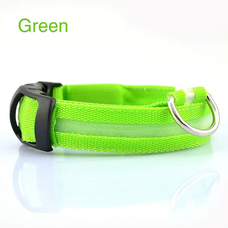 NightPaws™ LED Dog Collar for Clear Visibility Outdoors