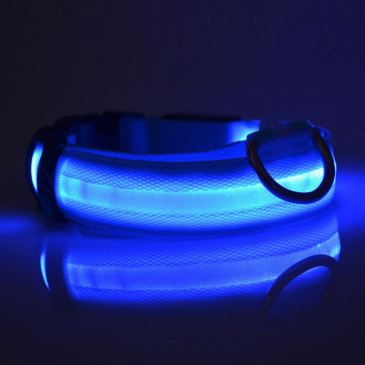 NightPaws™ LED Dog Collar for Clear Visibility Outdoors