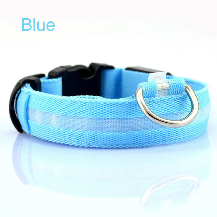 NightPaws™ LED Dog Collar for Clear Visibility Outdoors