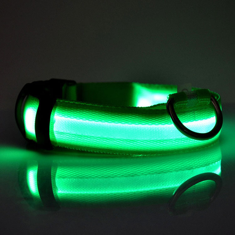 NightPaws™ LED Dog Collar for Clear Visibility Outdoors